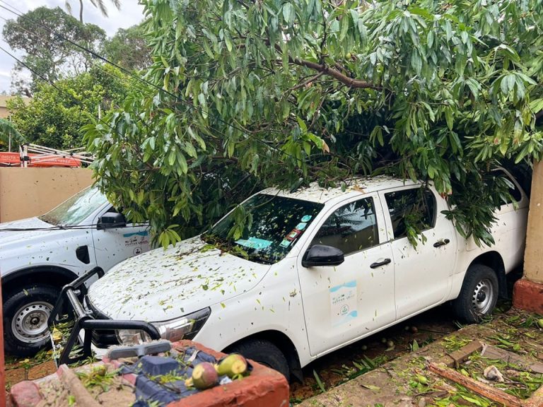 Ciclone Chido: Impactos Devastadores Afetam Escritórios e Operações da AMASI