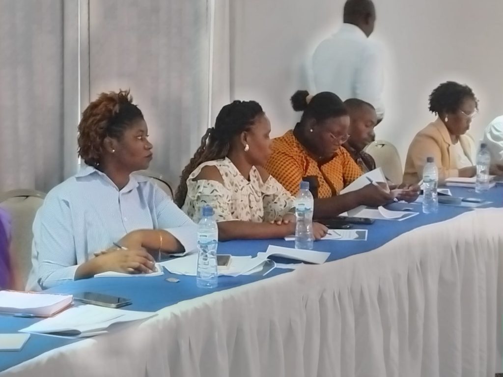 Capacitar para Salvar Vidas: FILOVC Forma Líderes em Gestão de Casos de Crianças Vulneráveis ao HIV